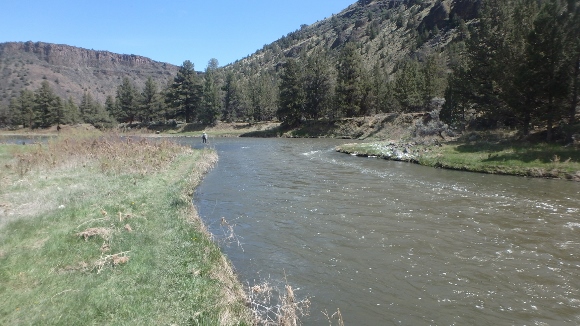 The Crooked River at 350 CFS.